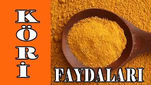 Korinin Faydalari Ve Zararlari Gunumuz Yemeklerinde Yaygin Olarak Kullanilan Korinin Gecmisi Oldukca Eskilere Dayanmaktadir Hint Yoresine Ai 2020 Diyet Aloe Bitki