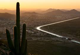 Cactus and other plants that store lots of water to help them through the dry seasons are called image by sue in az. Tensions Spark After Plan To Sell Colorado River Water In Arizona