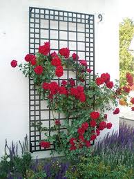 Wandgitter Exklusives Wandspalier Wandgerust Spalier Gartenspaliere