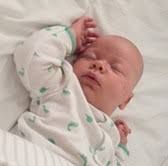 UMSL ECON Newsletter Summer 2019 Anne