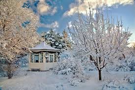 Reykjavik Botanical Gardens Iceland By Offiof Winter Garden Diy Garden Fountains Botanical Gardens