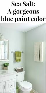 This is by far one of the most popular bathroom colors (or house colors, for that matter) that i've seen in a long time. Sea Salt By Sherwin Williams Paint Color Series Green With Decor