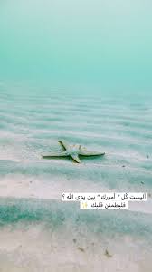 pin by نايف العيسي خلك إيجابي on ايجابي متفائل تفائل تفاؤل ايجابية ايجابيات فرح سرور متعه وناسه تطوير ذات نجاح حب احبك كلمات امل perfect word amazing quotes arabic quotes