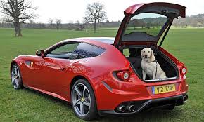 Check spelling or type a new query. The Ultimate In Hatchbacks A 330 000 Ferrari With Room For The Family Dog Labrador Not Included Daily Mail Online
