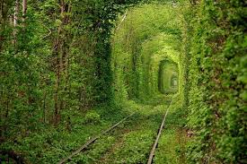 For faster navigation, this iframe is preloading the wikiwand page for أوكرانيا. Ø·Ø¨ÙŠØ¹Ø© Ø§Ù„Ø¨Ø±ÙŠØ© Ù…Ù† Ø£ÙˆÙƒØ±Ø§Ù†ÙŠØ§ Ø§Ù„Ø¢Ø«Ø§Ø± Ù…Ù† Ø·Ø¨ÙŠØ¹Ø© Ø£ÙˆÙƒØ±Ø§Ù†ÙŠØ§