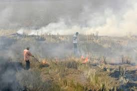 Please use the daily thread for all posts that are not related to malaysia or malaysians (or submit a text post relating your link to a malaysian context), and for all quick questions, such as where do i buy x?. Disastrous Effects And Solutions Of Open Burning On The Environment And Human Health Conserve Energy Future