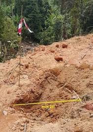 Besar harapan saya jika anda semua dapat berikan saya gambar seperti gambar yg saya sediakan ini (saya ambil dari google) serta lokasi kebun. 7 Langkah Penyediaan Kawasan Kebun Durian Bukit Tapah Durian Orchard