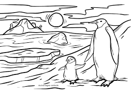 Pinguin bilder zum ausdrucken drucke diese pinguin ausmalbilder kostenlos aus. Malvorlage Pinguine Pinguin Kostenlose Ausmalbilder