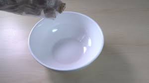 The spruce / taylor nebrija. Worm In Toilet The Focus Stock Footage Video 100 Royalty Free 1060971400 Shutterstock