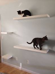 25 Ikea Hacks That Your Cat Will Love Comfydwelling Com Ikea Hacks Cat Diy Cat Shelves Cat Shelves Ikea Lack Shelves