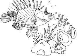 Download Pin On Lionfish Coloring Pages