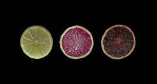 Just pat the eyeshadow evenly. From Lime Green To Lime Purple Science News For Students