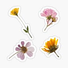 Yarra valley decor manufacturers of dried & pressed flowers, potpourri, deco art products, artificial flowers, flower arrangements, florist supplies. Pressed Flowers Gifts Merchandise Redbubble