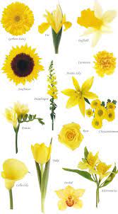 Flower Names By Color Yellow Wedding Flowers Flower Guide Flower Names