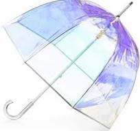 Bubble Umbrella with Windproof Dome -Transparent Umbrella for Wedding- -  Birdcage Bubble See Through-Women Signature Clear Bubble Umbrella,  Iridescent