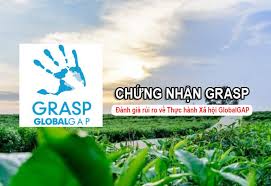 Chứng nhận GRASP – Cấp chứng chỉ GRASP đạt chuẩn quốc tế
