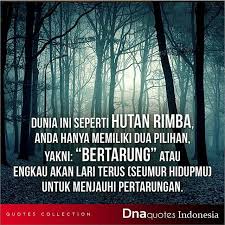 Dunia Ini Seperti Hutan Rimba Kata Kata Motivasi Hutan Motivasi