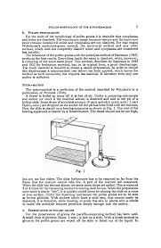 Image result for Thecacoris spathulifolia