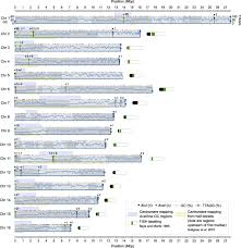 Lesson summary karyotypes a genome is the full set of all. A Hybrid De Novo Genome Assembly Of The Honeybee Apis Mellifera With Chromosome Length Scaffolds Bmc Genomics Full Text