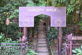 I do believe that you are. Kl Forest Eco Park And Canopy Walk Happy Go Kl