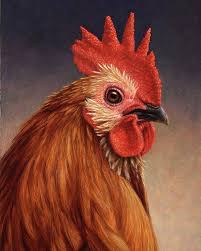  8 Ide Ayam Ayam Ayam Jantan Lukisan Hewan