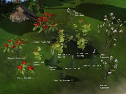 https thecrimsonsparkles tumblr com post 186861328183 tout pour le jardin sims sims 2