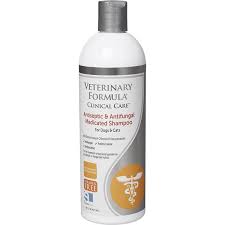 A yeast infection develops when candida fungi, which is a type of yeast, grow uncontrollably on the surface of the skin or in mucous membranes inside the body. Best Medicated Shampoos For Dogs In 2021