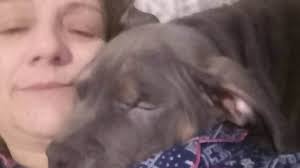 Grandmother, 41, is the first woman in Britain to be prosecuted over XL  Bully ban after she rescued it when it was dumped close to death at the  seaside just days after