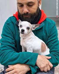 Contigo Al Quinto Pino VLOGS