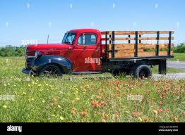 Image result for Prairie Gray 1937 Dodge Truck