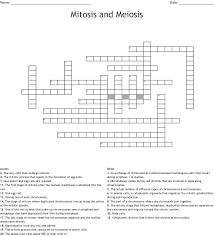 Comparing and contrasting mitosis and meiosis: Mitosis Meiosis Vocabulary Quiz Crossword Wordmint