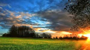 Wallpapers Hd Free Download For Laptop Group 78 We must preserve the forests so that we have more fresh air to breathe. wallpapers hd free download for laptop