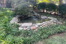Image result for garden pond ideas
