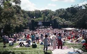 Image result for Pink Frost 1989 Colt