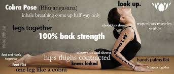 Benefits Of Cobra Pose Bhujangasana With Images Bikram Yoga Poses Cobra Pose Yoga Yoga Benefits