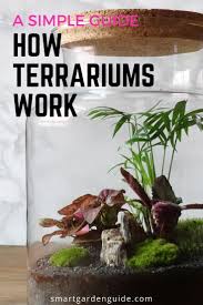 How Terrariums Work Guide To How Terrariums Work And How To Make One Closed Terrarium Plants Best Terrarium Plants Diy Moss Terrarium