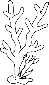 Free coral reef cliparts download free clip art free clip art on. Free Seaweed Drawings Coloring Pages Sketch Coloring Page Coral Reef Coloring Pages Coral Drawing Coloring Pages