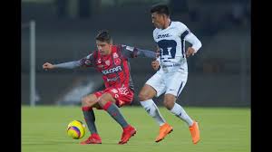 Follow here the best actions of the meeting between necaxa and club universidad. Ù‡ÙŠÙƒÙ„ Ø¹Ø¸Ù…ÙŠ Ø§Ù„Ø£Ø³Ø§Ø³ÙŠØ© Ù†Ø¨Ø§ØªÙŠ Pumas Vs Necaxa Copa Mx Cazeres Arthurimmo Com