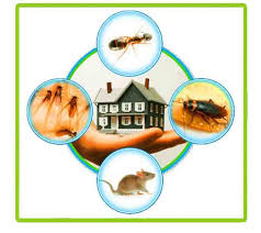 We offer a wide range of services to help you get rid of unwanted. Pesticide Archives Pinnacle