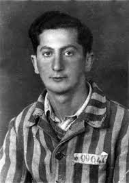 Image result for holocaust photos