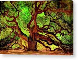 Angel oak is a southern live oak (quercus virginiana) located in angel oak park on johns island near charleston, south carolina. Angel Oak Tree Canvas Print Canvas Art By Russ Harris