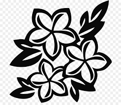 Mewarnai gambar daun belajar mewarnai bunga hias poinsettia merupakan bunga berbentuk bintang sebetulnya ini bukan benar benar bunga itu adalah daun yang. Bunga Hitam Dan Putih Putih Gambar Png