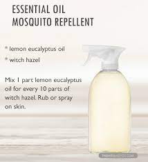Diy Homemade Natural Nontoxic Insect Bug And Mosquito Spray