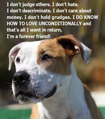 26 Dog Quotes About Love And Compassion Dog Quotes Dog Lover Quotes Dog Quotes Love