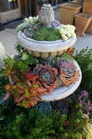 Planters Succulent South Succulents Succulents In Containers Succulents Garden
