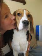 Wie heeft wel eens zijn/haar hond moeten herplaatsen en waarom?