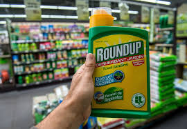 The guardian asked monsanto to comment on warnings in 2009 that its plan to develop a dicamba crop system could damage farms. Monsanto Has Been Found Guilty Of Ecocide Lifegate