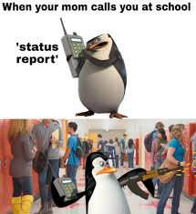 Status Report Memes