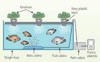 Lokasi bilik lokasi bilik adalah penting untuk mengetahui arah pencahayaan dan pengudaraan dalam bilik tersebut. Reka Bentuk Akuaponik Other Quizizz
