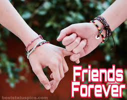 Winnie the pooh friendship quote wallpapers. Friends Forever Whatsapp Dp Images Quotes Status Best Status Pics